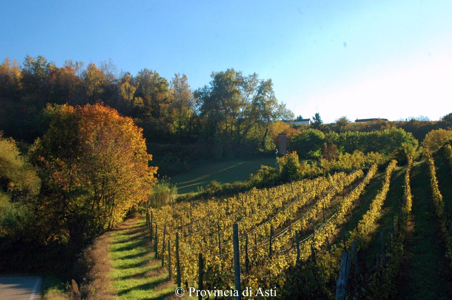 Itinerario | Cascina Caruzzo, Rocche Lunghe, Cascina Caffare