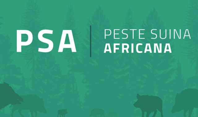 Informativa sulla Peste Suina Africana