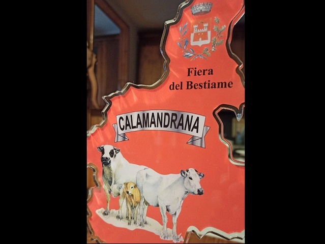 descrizione immagine